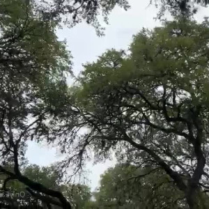 Video by shylajennings published on July 12,2023 12:41:00 - BestThots