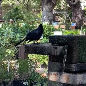 Video by shylajennings published on July 16,2023 16:21:00 - BestThots