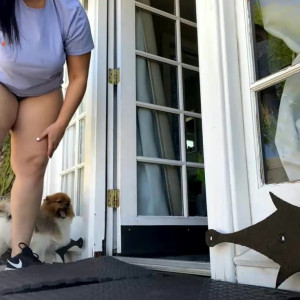 Video by fitsid published on March 29,2023 02:07:00 - BestThots