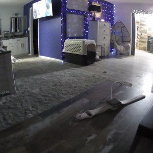 Video by fitsid published on March 16,2023 12:42:00 - BestThots