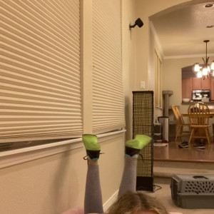 Video by oliviamaebaee published on August 18,2023 00:04:00 - BestThots