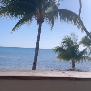 Video by onlysabrina published on April 11,2023 06:28:00 - BestThots