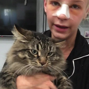 Video by emmahixofficial published on August 23,2023 07:36:00 - BestThots