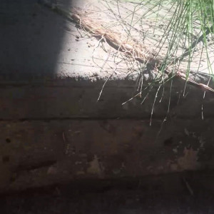 Video by secretlittle published on April 17,2023 22:16:00 - BestThots