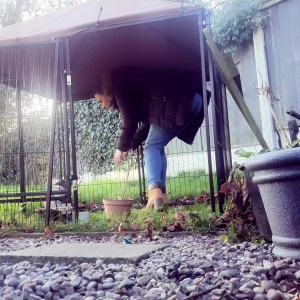 Video by somethingnotsilly published on April 14,2023 11:53:00 - BestThots