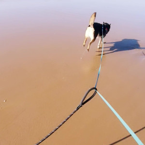 Video by somethingnotsilly published on June 15,2023 05:50:00 - BestThots