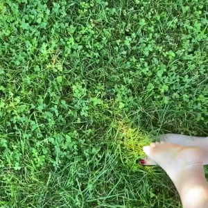 serenasoles99 #4827249