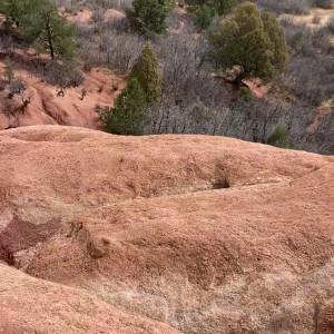 serenasoles99 #5252857