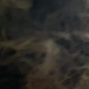 princessamberxxx #5426080