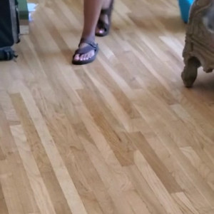 Video by therealjuliaann published on April 1,2023 16:57:00 - BestThots