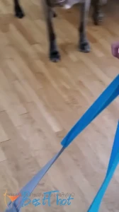 therealjuliaann #9760324