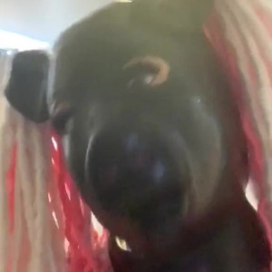 Video by octobooty published on July 13,2023 12:48:00 - BestThots