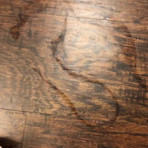 Video by eyecandytoes published on March 7,2023 12:25:00 - BestThots