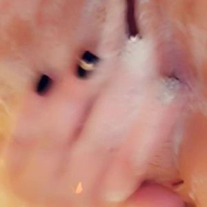 Video by lickmefrosty published on April 27,2023 00:12:00 - BestThots