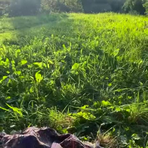 Video by lexiemoonx published on August 17,2023 20:45:21 - BestThots