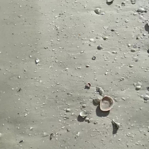 Video by toridanyels published on July 11,2023 19:05:00 - BestThots