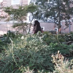 Video by amaimaiofficial published on June 28,2023 10:10:00 - BestThots