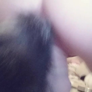 littleellakitty #3328521