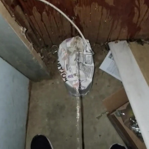 plushopossum #4662296