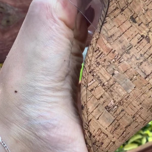 Video by beautyandherfeetz published on April 22,2023 06:50:00 - BestThots
