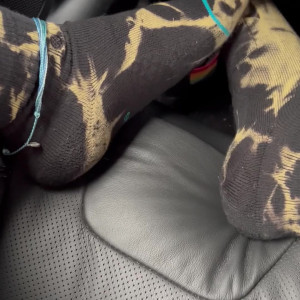 Video by sammysole published on August 18,2023 01:02:31 - BestThots