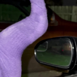 Video by sammysole published on August 17,2023 19:32:13 - BestThots
