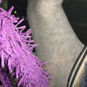 Video by sammysole published on August 1,2023 11:06:00 - BestThots