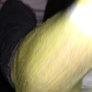 Video by sammysole published on July 6,2023 07:18:00 - BestThots