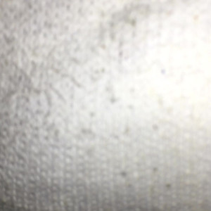Video by sammysole published on May 19,2023 13:36:00 - BestThots