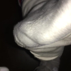Video by sammysole published on April 17,2023 09:30:00 - BestThots