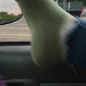 Video by sammysole published on August 17,2023 04:49:00 - BestThots