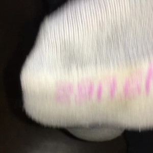 Video by sammysole published on July 27,2023 12:20:00 - BestThots