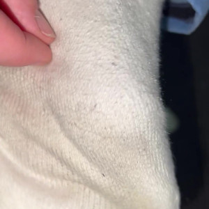 Video by sammysole published on May 26,2023 12:44:00 - BestThots