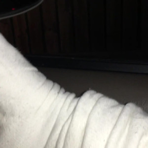 Video by sammysole published on May 1,2023 22:35:00 - BestThots