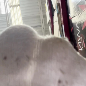 Video by sammysole published on April 24,2023 06:32:00 - BestThots
