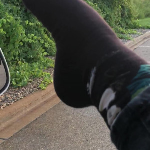 Video by sammysole published on July 14,2023 21:17:00 - BestThots