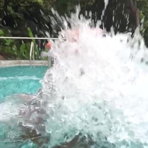 Video by freeexxxoticbabe published on April 9,2023 18:18:00 - BestThots