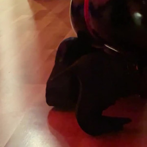 Video by freeexxxoticbabe published on June 6,2023 12:35:00 - BestThots