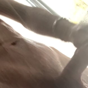Video by callumandcole published on March 4,2023 01:13:00 - BestThots