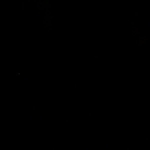 Video by saraharabic published on March 13,2023 01:13:00 - BestThots