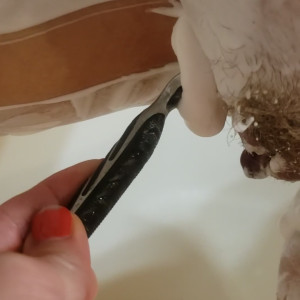 Video by katiefreckles published on July 5,2023 09:04:00 - BestThots