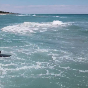 Video by surfwithclaire published on March 5,2023 12:58:00 - BestThots