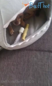 thedarcyeffect #9732348