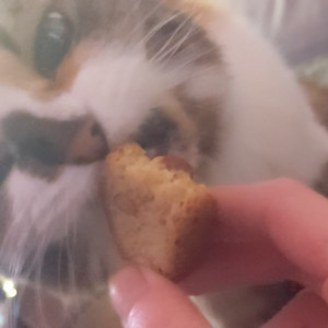 Video by snoot published on May 14,2023 00:00:00 - BestThots