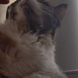 Video by snoot published on April 16,2023 08:47:00 - BestThots