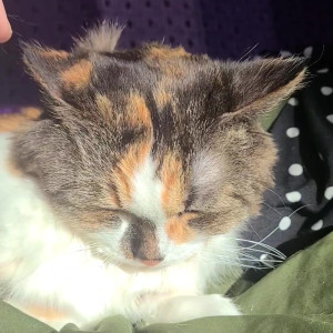 Video by snoot published on May 2,2023 09:33:00 - BestThots