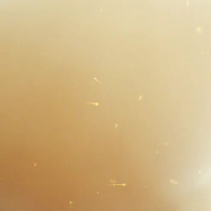 Video by ninadiamondz published on August 18,2023 01:53:24 - BestThots