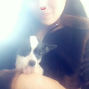 Video by ninadiamondz published on August 18,2023 09:58:05 - BestThots