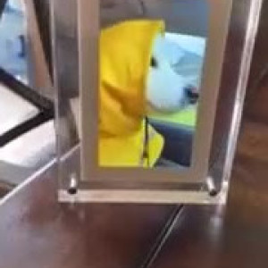 Video by avaraexo published on August 15,2023 19:16:00 - BestThots