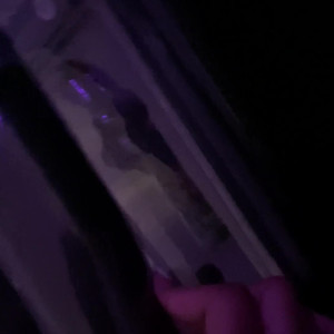 Video by ziennaxxx published on April 24,2023 00:55:00 - BestThots